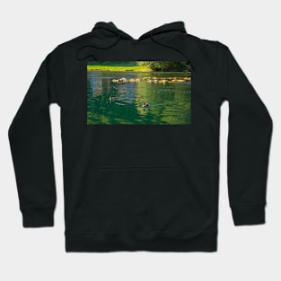 Una River in Kulen Vakuf, Bosnia Hoodie